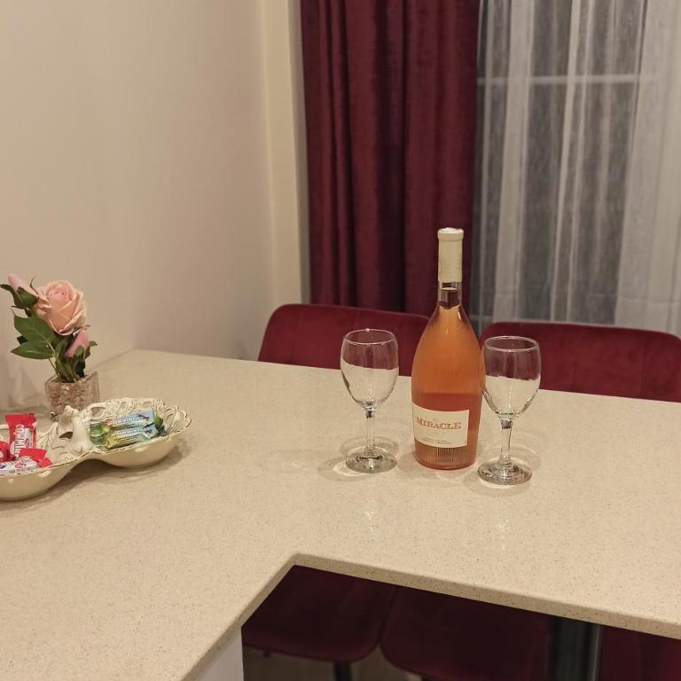 Apartmani President IV - One-Bedroom Apartment - 11