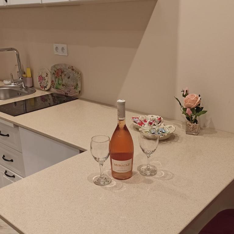 Apartmani President IV - One-Bedroom Apartment - 13
