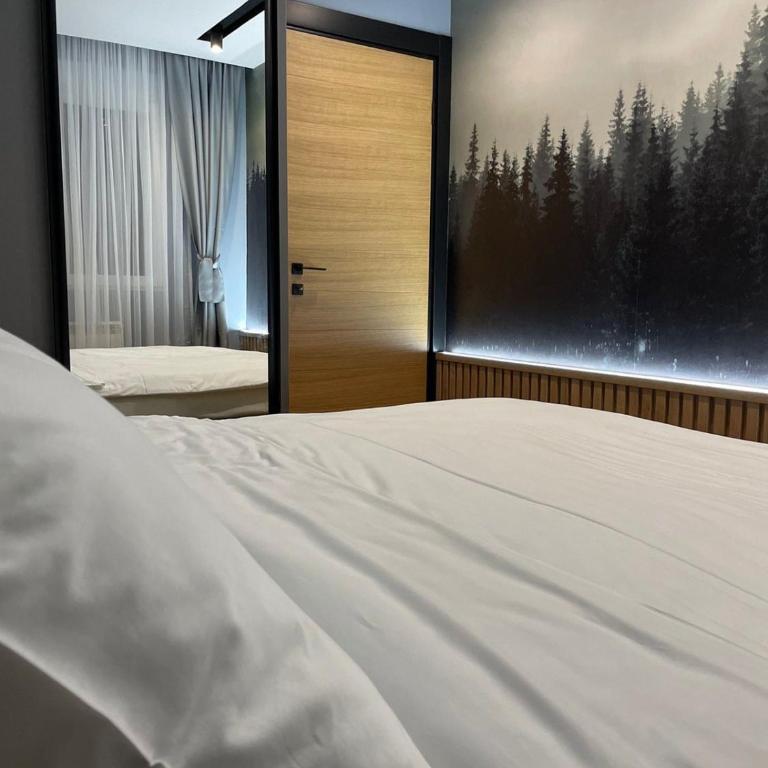 Modern Mountain Kolasin - Apartman sa 1 Spavaćom Sobom - 9
