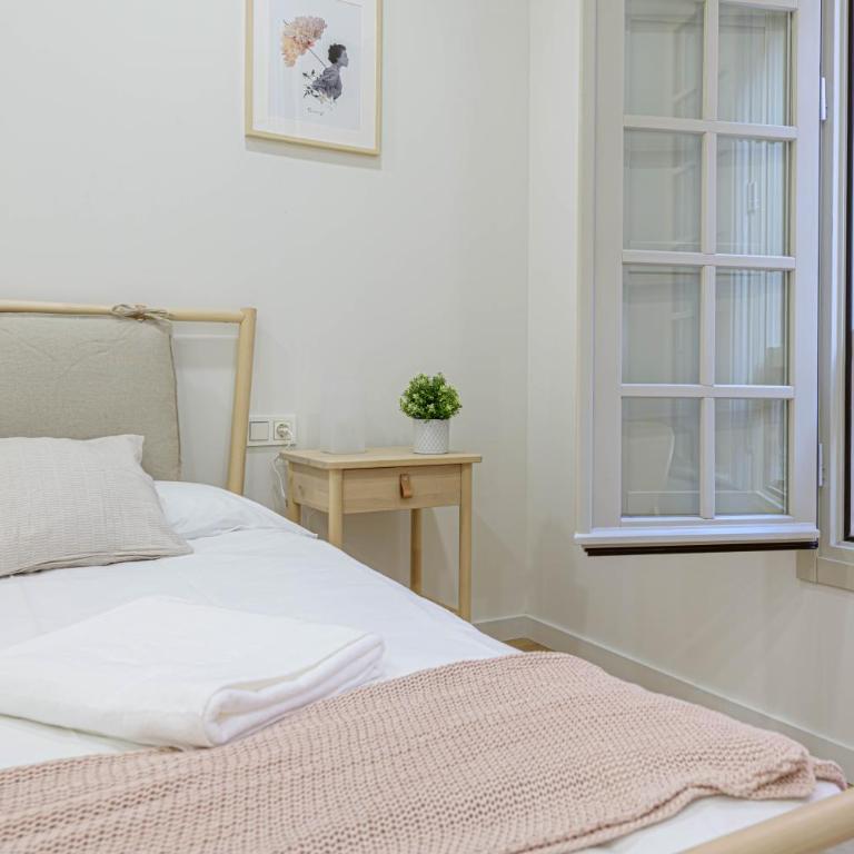 WintowinRentals Plaza del Teatro Malaga Historic Center & free parking - Apartamento de 3 dormitorios - 26