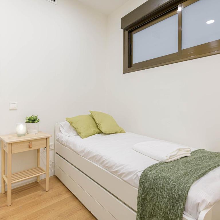 WintowinRentals Plaza del Teatro Malaga Historic Center & free parking - Apartamento de 3 dormitorios - 45