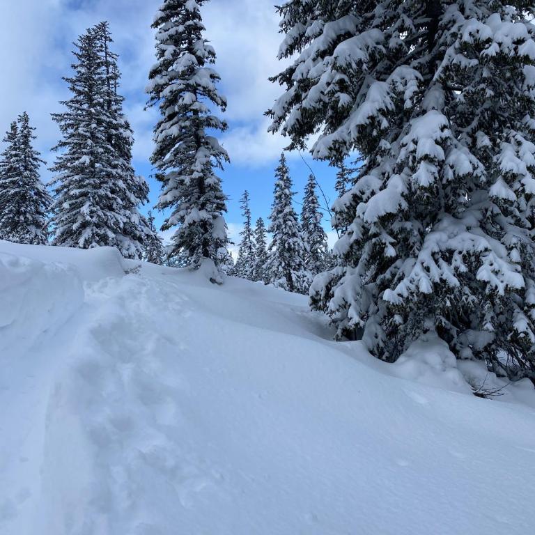 Sunlodge Oeblarn Top B1 Schladming-Dachstein - Apartment mit Terrasse - 30