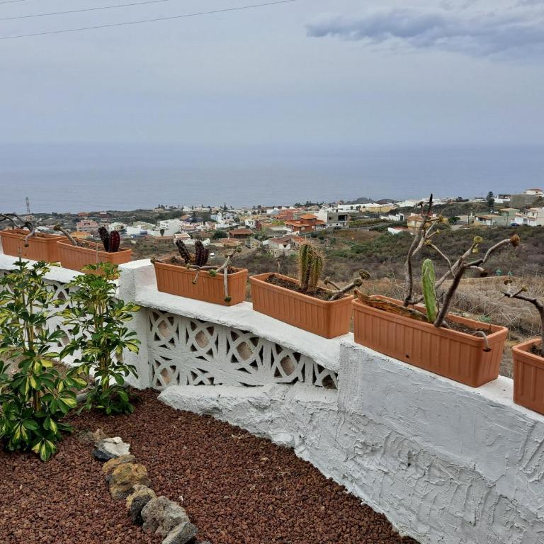 Tenerife CASA DE SANCHO PANSA apartment with terrace and garden 600m2 and ocean and Teide view - Apartamento de 1 dormitorio - 8