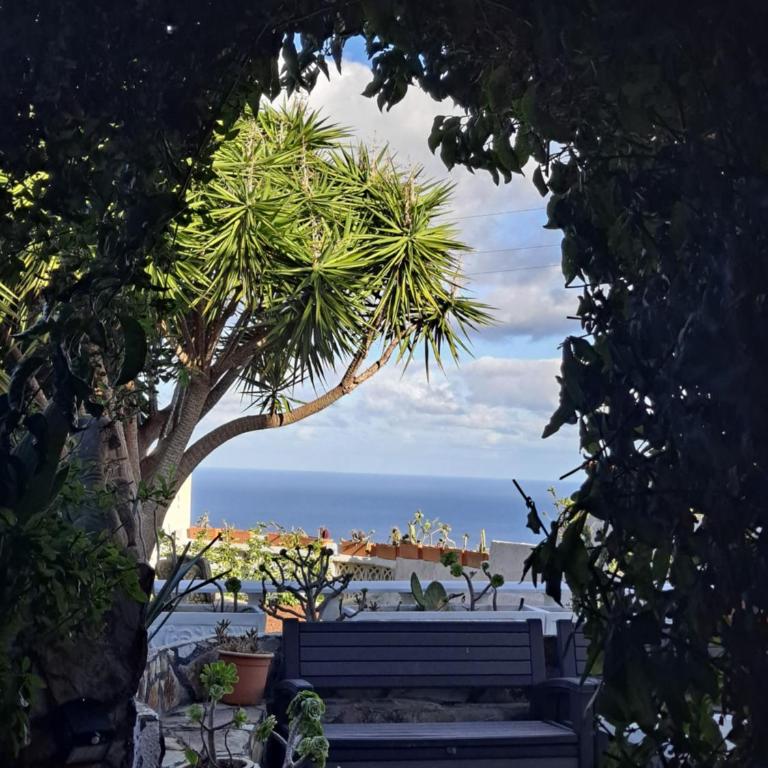 Tenerife CASA DE SANCHO PANSA apartment with terrace and garden 600m2 and ocean and Teide view - Apartamento de 1 dormitorio - 9