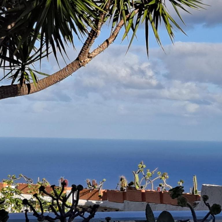 Tenerife CASA DE SANCHO PANSA apartment with terrace and garden 600m2 and ocean and Teide view - Apartamento de 1 dormitorio - 13