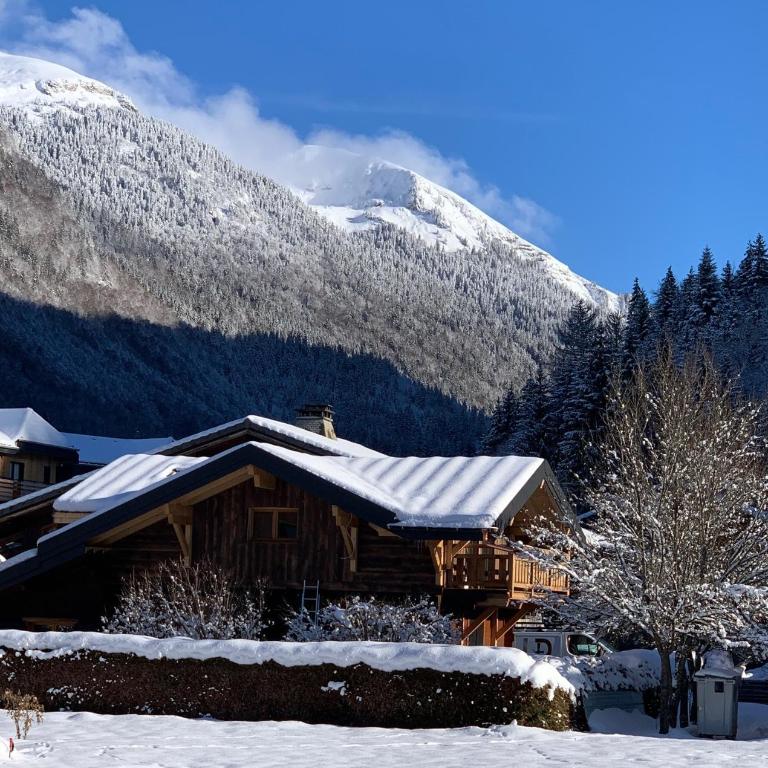 Le Petit Chalet de Montriond - Chalet 3 Chambres - 2