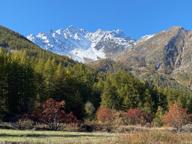 Chalet Serre Chevalier à 1500 M - Appartement 2 Chambres - 23