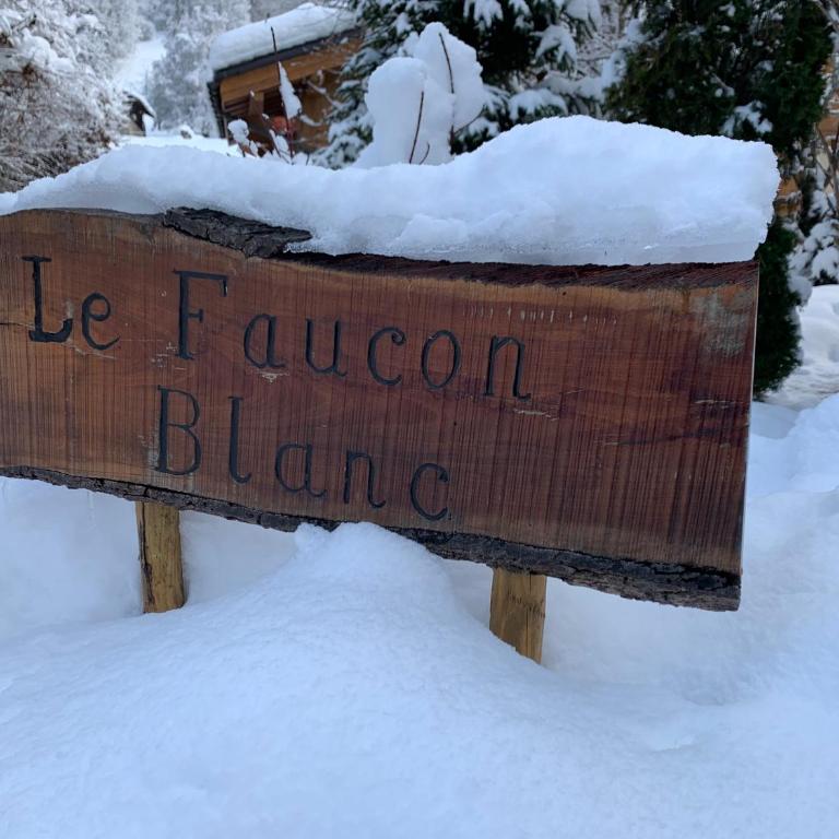 Chalet Megeve, idéal familles proche ski et centre village - Chalet 3 Chambres - 58