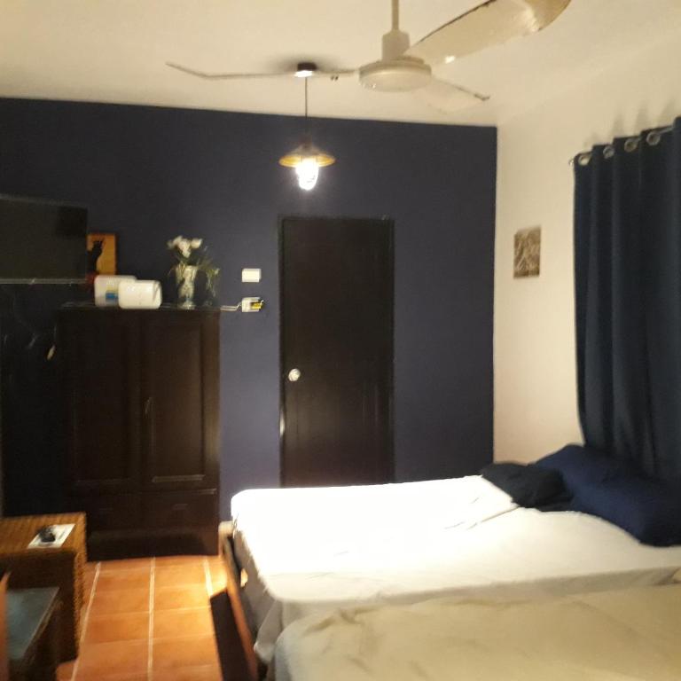 Bea rooms and studios - Estudio Doble Deluxe - 4