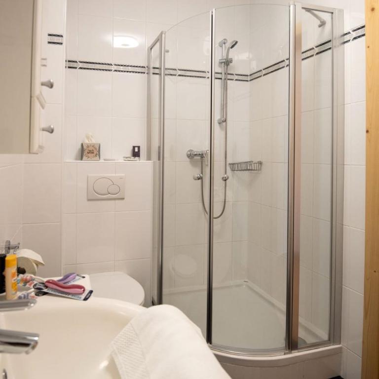Apartmenthaus HAUS Gipfelglück Apartment KUAFSTOA - Apartment mit 1 Schlafzimmer - 7
