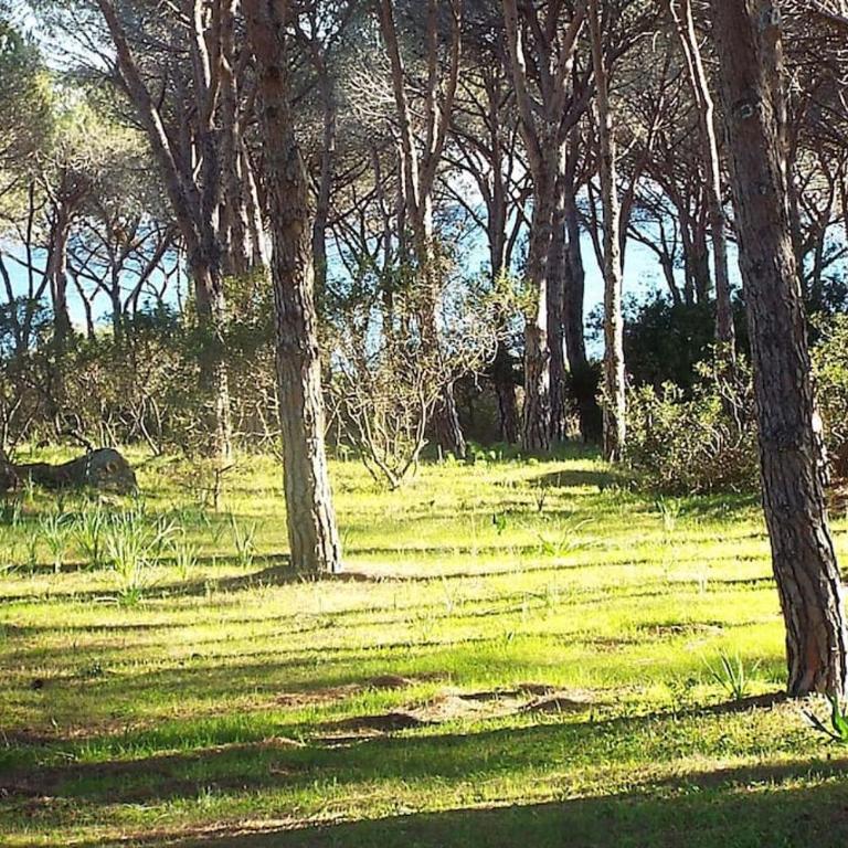 Villetta spiaggia a piedi BudoniAffitti - Appartamento con 2 Camere da Letto - 12