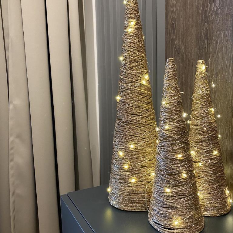 DOM Boutique Apartments - Park View - Apartman sa 1 Spavaćom Sobom - 58