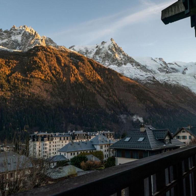 Portes du Brevent -1 bedroom apartment with magnificient Mont Blanc views - Apartment mit 1 Schlafzimmer - 3