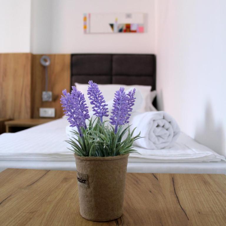 Royal Apartmani - Apartman sa 1 Spavaćom Sobom - 6