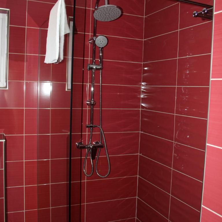Royal Apartmani - Apartman sa 1 Spavaćom Sobom - 4