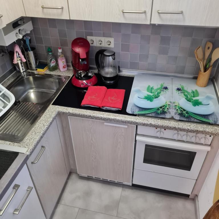Ferienwohnung BerGlück - Apartment mit 1 Schlafzimmer - 12