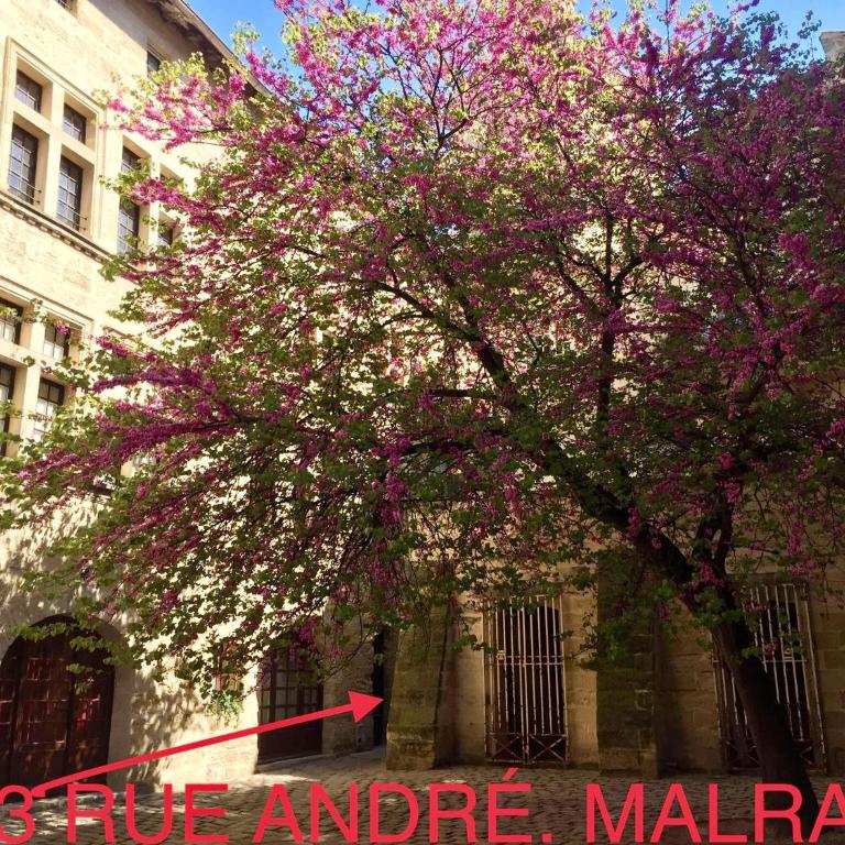appartement a 50 m de la place aux herbes - Appartement 2 Chambres - 1