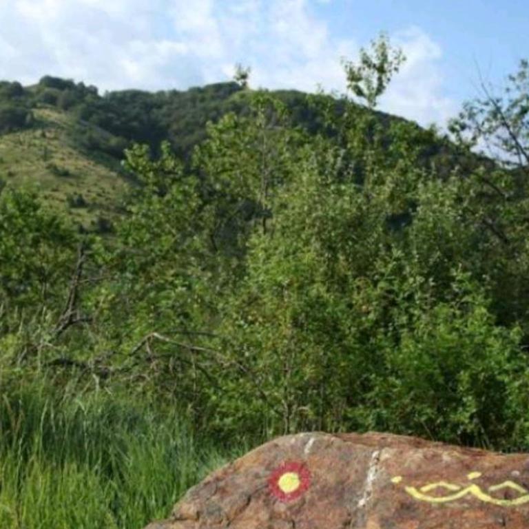 apartman Kraljevi čardaci Sadikovic sa garažom - Apartment with Mountain View - 40