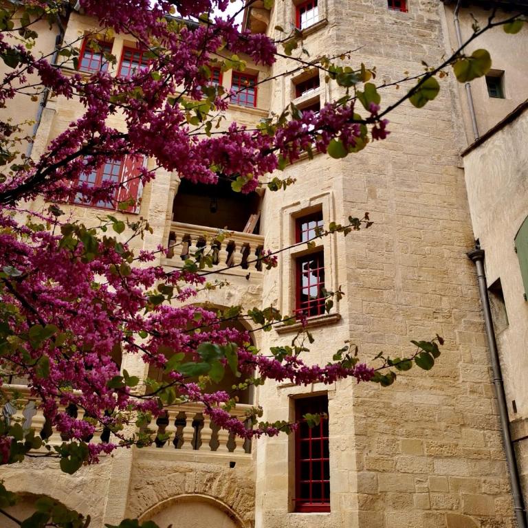 appartement a 50 m de la place aux herbes - Appartement 2 Chambres - 3