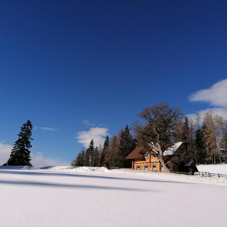 Ferienhaus Bichlhütte - Casa con 4 camere da letto - 39