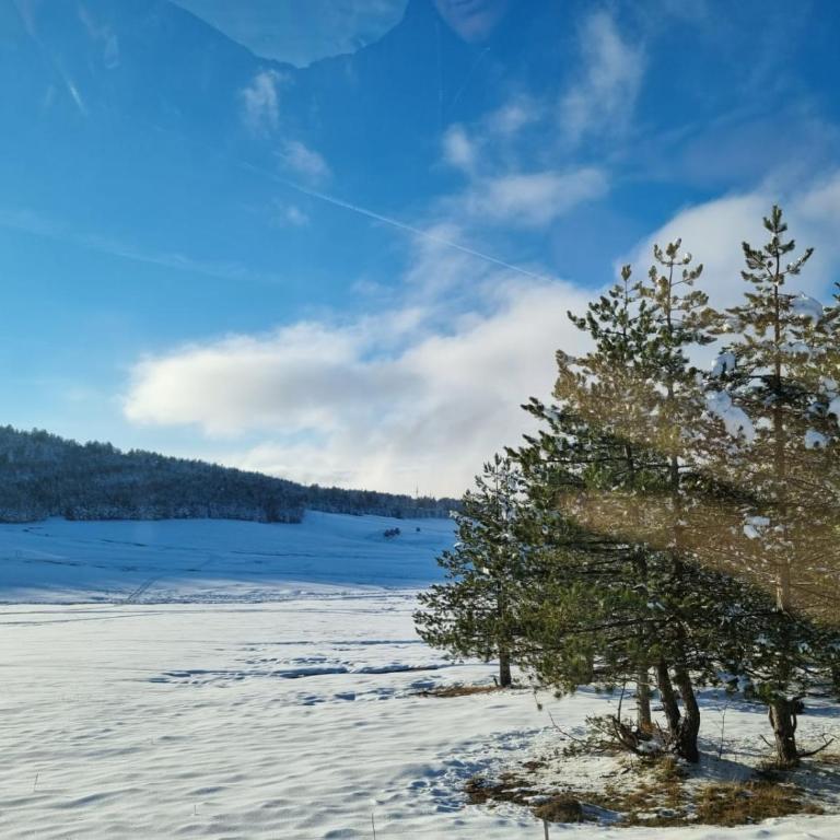 Zlatibor Hills Zeus - Two-Bedroom Apartment - 18
