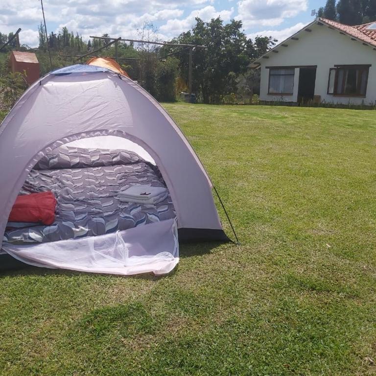 Hospedaje y Zona de Camping Pistacho - Tent - 1