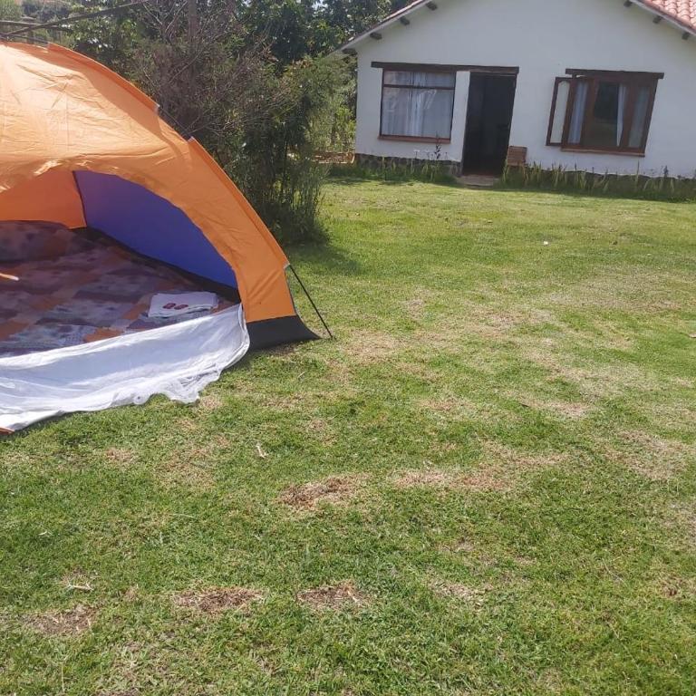Hospedaje y Zona de Camping Pistacho - Tent - 1