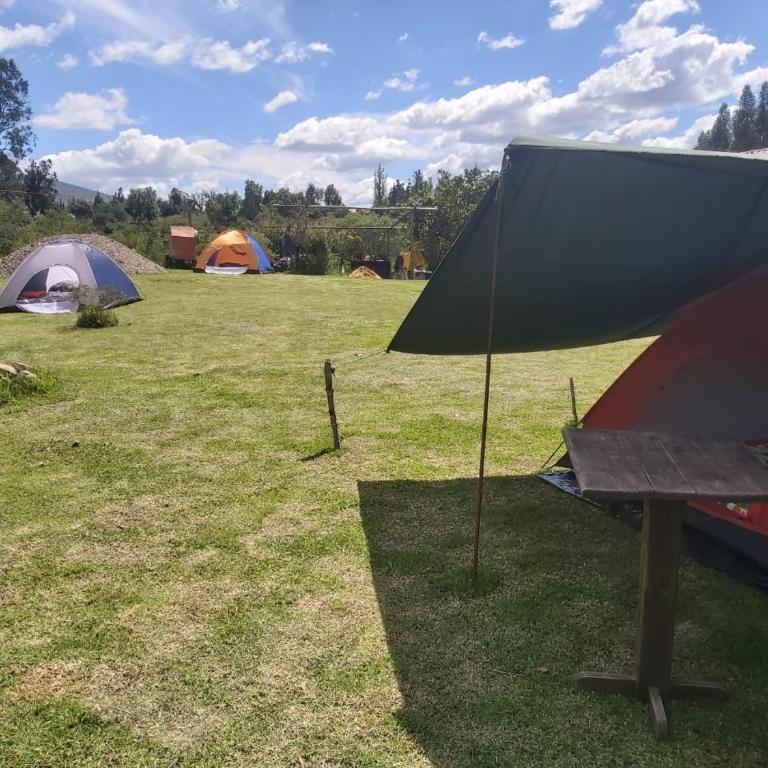 Hospedaje y Zona de Camping Pistacho - Tent - 2