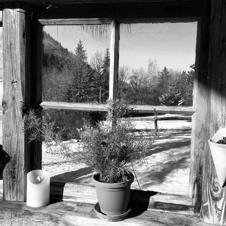 Charmant Mazot - Chalet - 34