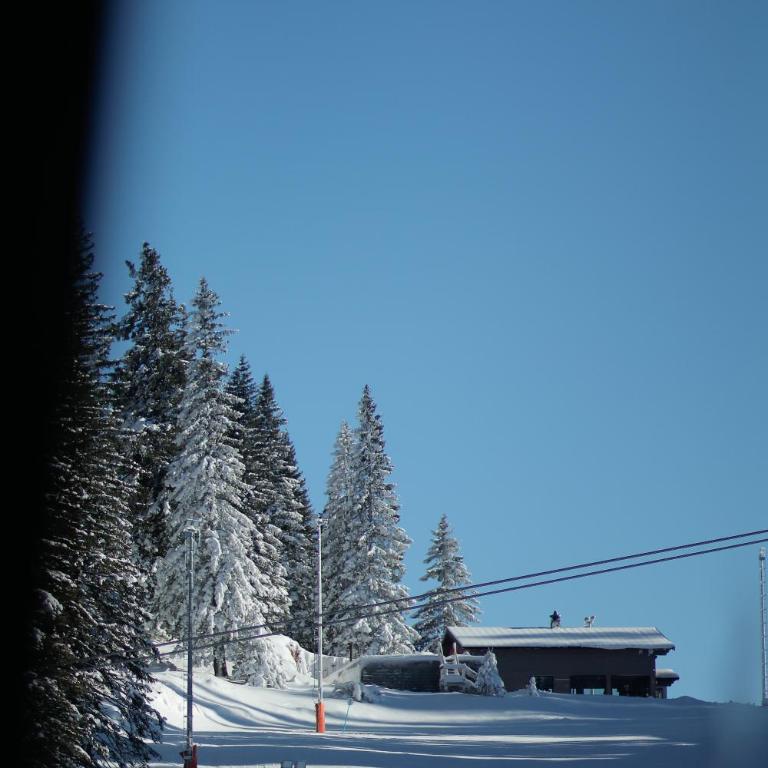 Nivalis Residence Jahorina - Deluxe Apartment - 24