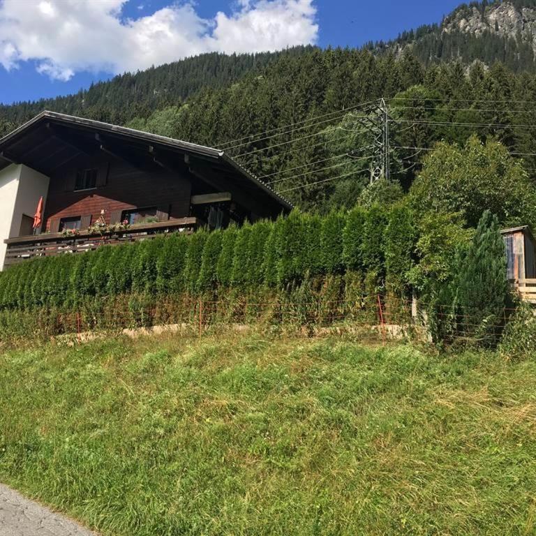Haus Bergblick - Apartment mit 1 Schlafzimmer und Dusche - 1