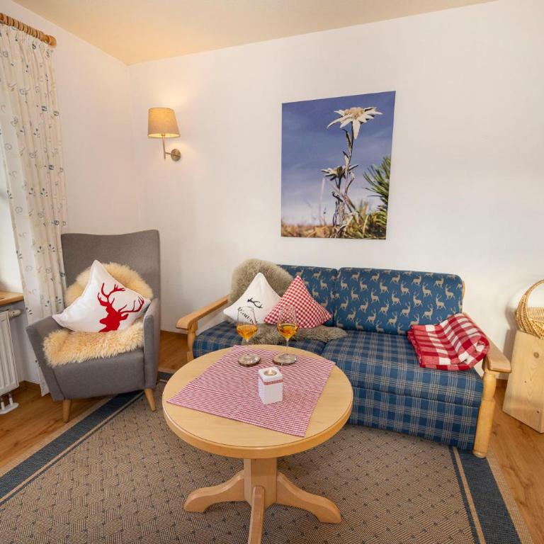 Gemütliche Ferienwohnung Bergwiese, 2-Raum, separates Schlafzimmer, schönen Balkon oder Terrasse, Komfort Ausstattung, ruhige Südlage, kostenfrei WLAN und schöne helle Sauna, Brötchenservice, Parkplatz, Hunde auf Anfrage, E-Tankstelle, Sonnenlage - Appartamento con Vista Montagna - 22