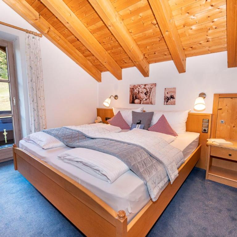 Gemütliche Ferienwohnung Bergwiese, 2-Raum, separates Schlafzimmer, schönen Balkon oder Terrasse, Komfort Ausstattung, ruhige Südlage, kostenfrei WLAN und schöne helle Sauna, Brötchenservice, Parkplatz, Hunde auf Anfrage, E-Tankstelle, Sonnenlage - Appartamento con Vista Montagna - 14