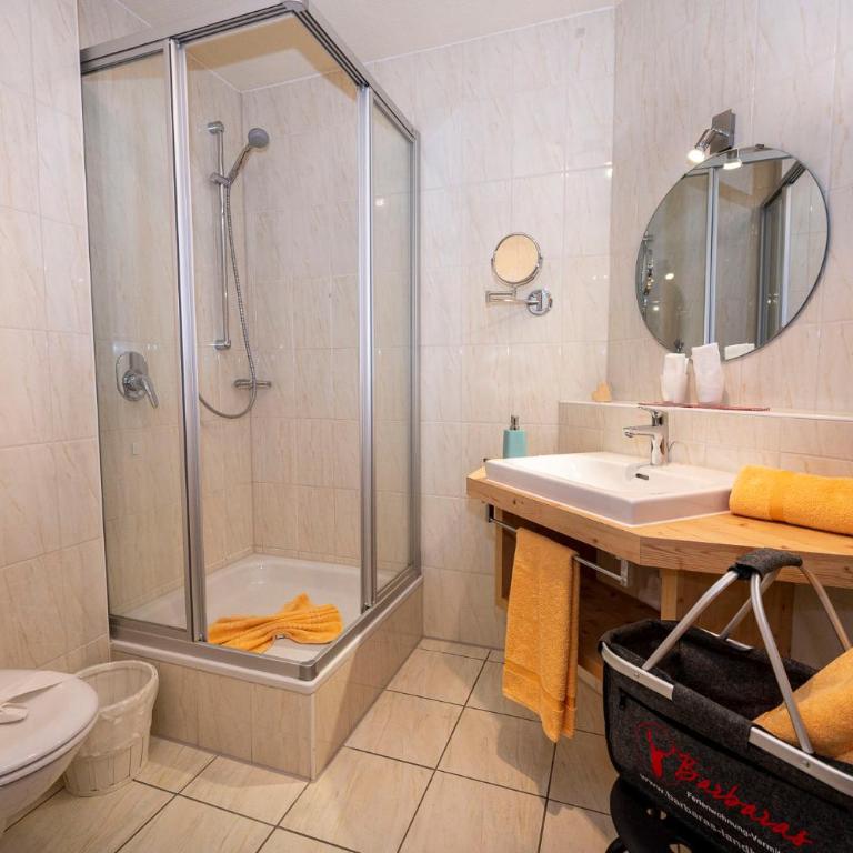 Gemütliche Ferienwohnung Bergwiese, 2-Raum, separates Schlafzimmer, schönen Balkon oder Terrasse, Komfort Ausstattung, ruhige Südlage, kostenfrei WLAN und schöne helle Sauna, Brötchenservice, Parkplatz, Hunde auf Anfrage, E-Tankstelle, Sonnenlage - Appartamento con Vista Montagna - 9