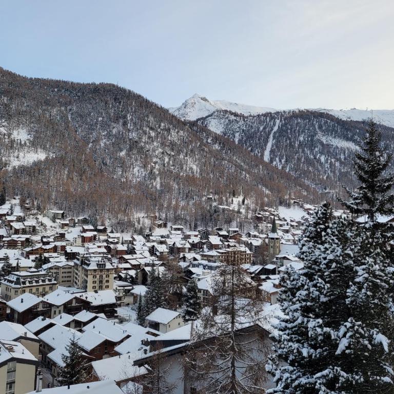 Studio in Zermatt mit toller Aussicht aufs Dorf - Studio avec Balcon - 9