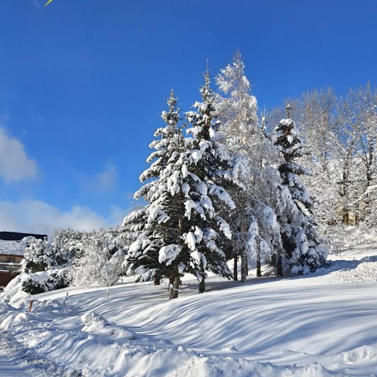 Studio 05 Saint Honoré 1500, Vue montagne et lac, 2 personnes, Série Anthracite Netflix - Studio - Vue sur Montagne - 16