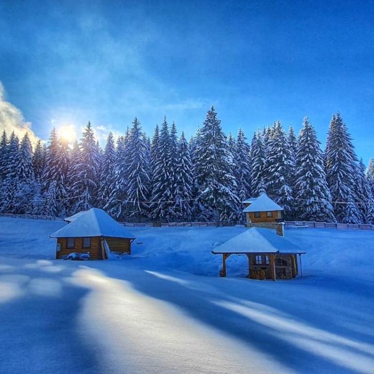 Apartmani Nišićka Oaza - Brvnara sa 1 Spavaćom Sobom - 22