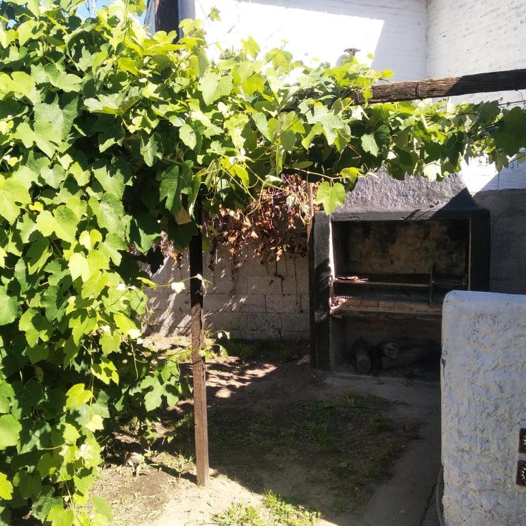 Casa Los Jardines - Casa - 10