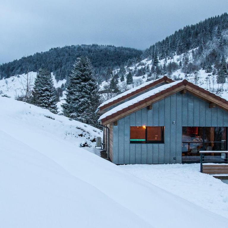 Chalet de standing 9P avec sauna & salle d'escalade - Chalet 3 Chambres - 1