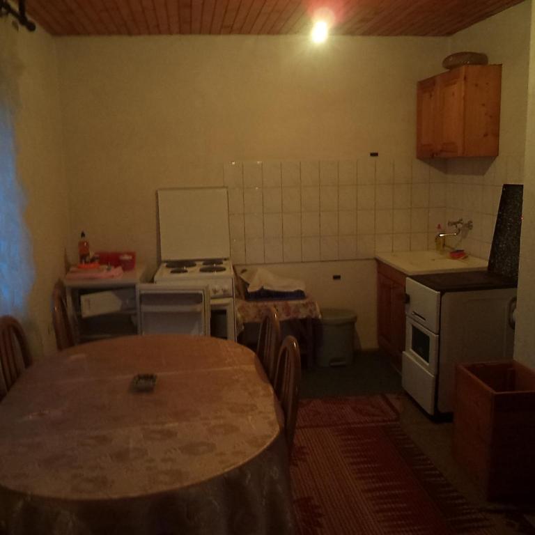 Apartments Zekovic - Apartment with Mountain View - 4