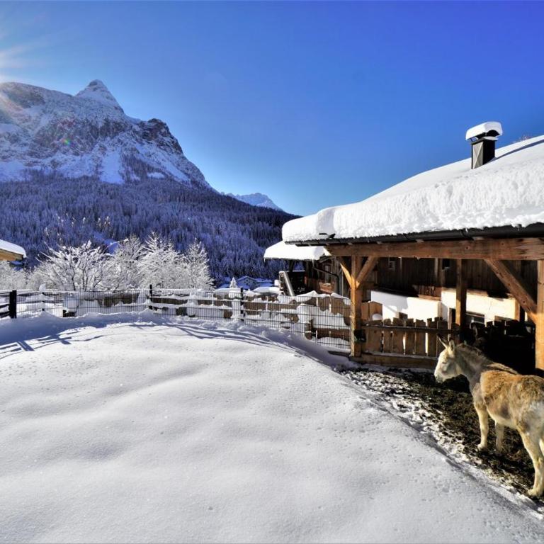 Das Hof Chalet - Chalet - 38