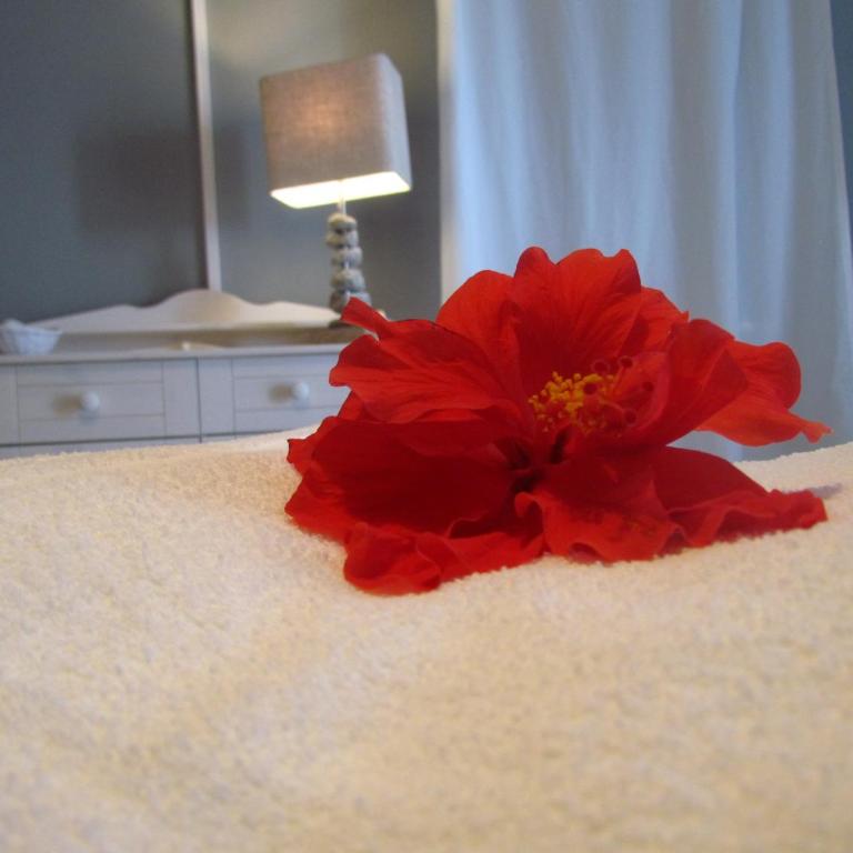 B&B Il Cappero - Double Room - 18