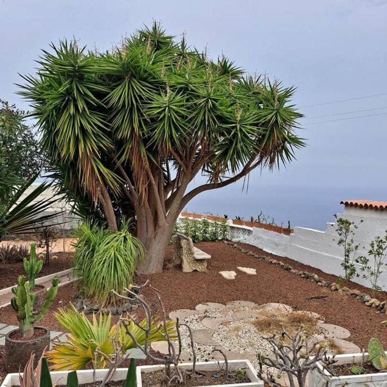 Tenerife Apartment Dulcynea with terrace and garden 600m2 with ocean and Teide view - One-Bedroom Apartment - 10