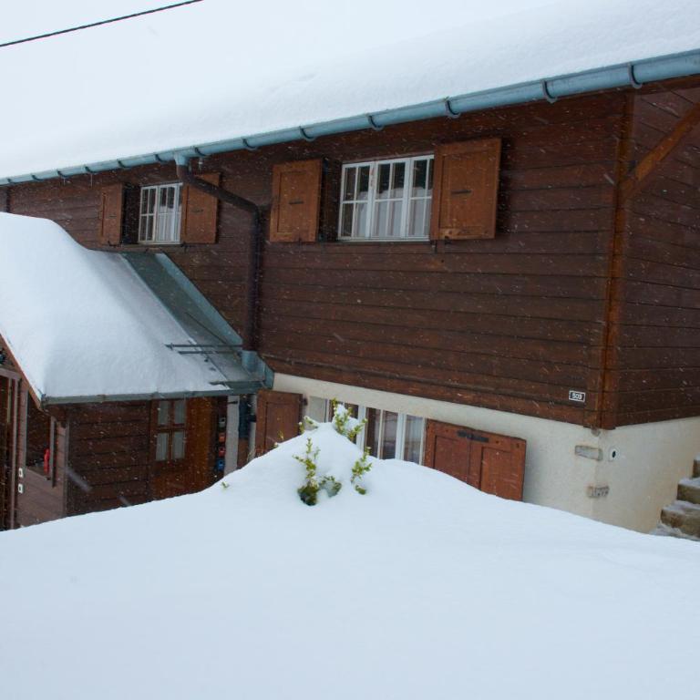Studio cosy avec sauna & terrasses alpines - Studio-Apartment - 48