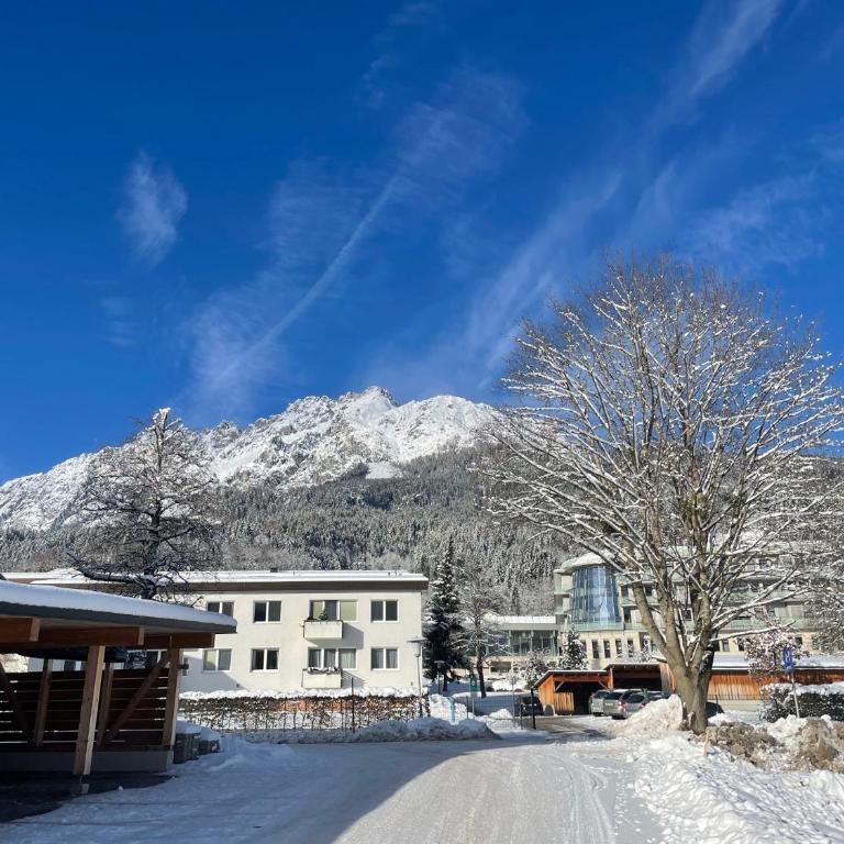 Appartement Ferienwohnung Bergahorn Gröbming - Apartamento de 2 dormitorios - 66