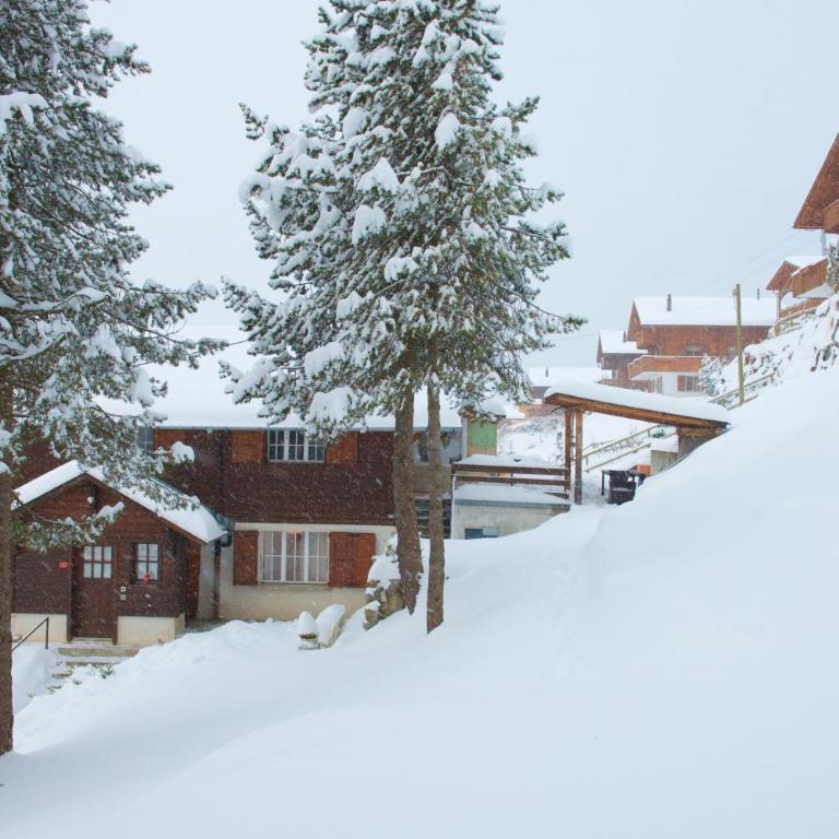 Chalet spa avec terrasse et vue alpine - Apartment mit 2 Schlafzimmern mit Balkon und Terrasse - 77