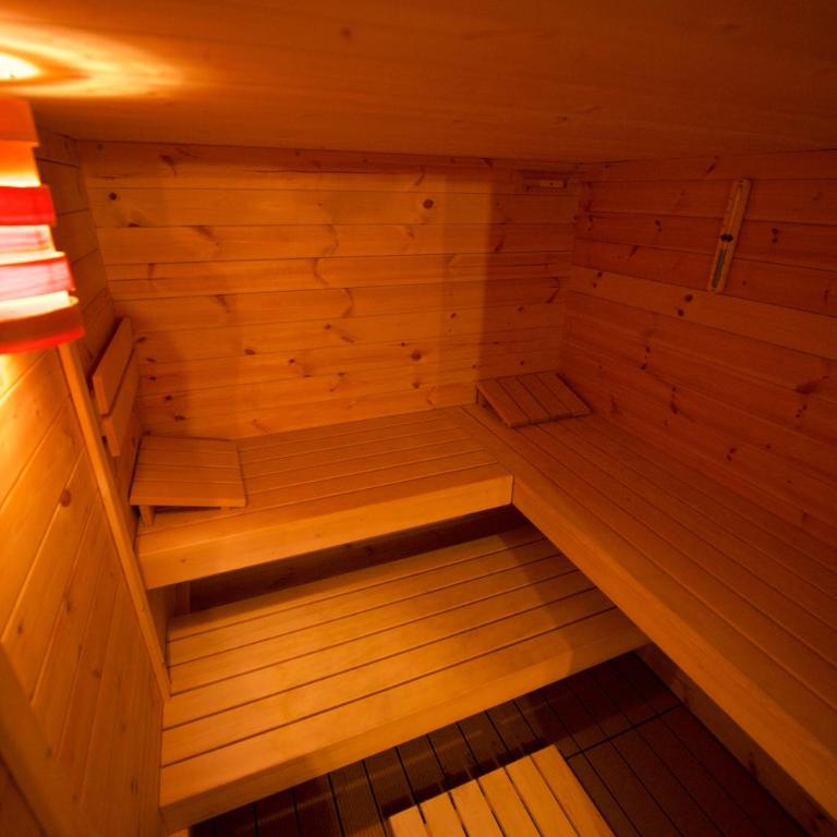 Chalet spa avec terrasse et vue alpine - Apartment mit 2 Schlafzimmern mit Balkon und Terrasse - 76