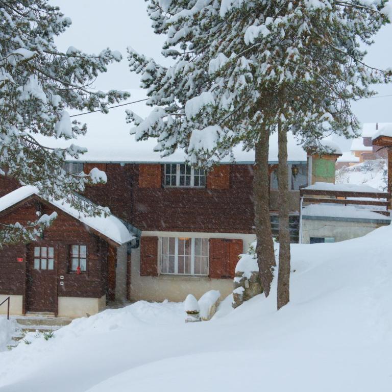 Chalet spa avec terrasse et vue alpine - Apartment mit 2 Schlafzimmern mit Balkon und Terrasse - 79