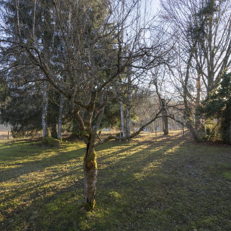 Ferienwohnung Steinmandl - Apartment mit 1 Schlafzimmer - 15