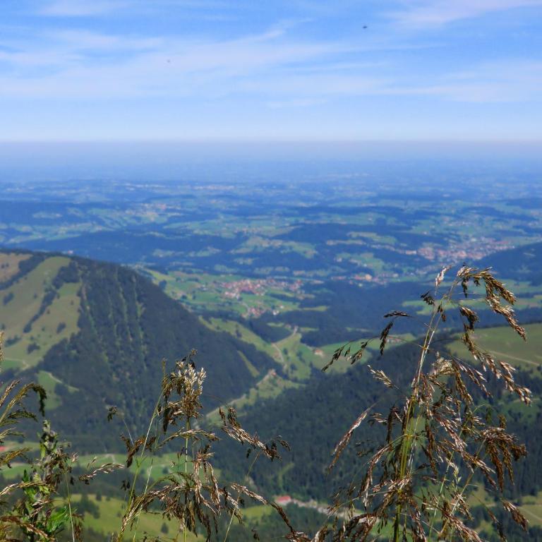 Ferienwohnung Grüntenpanorama im Jägerwinkl Allgäu - Appartamento con 2 Camere da Letto - 35